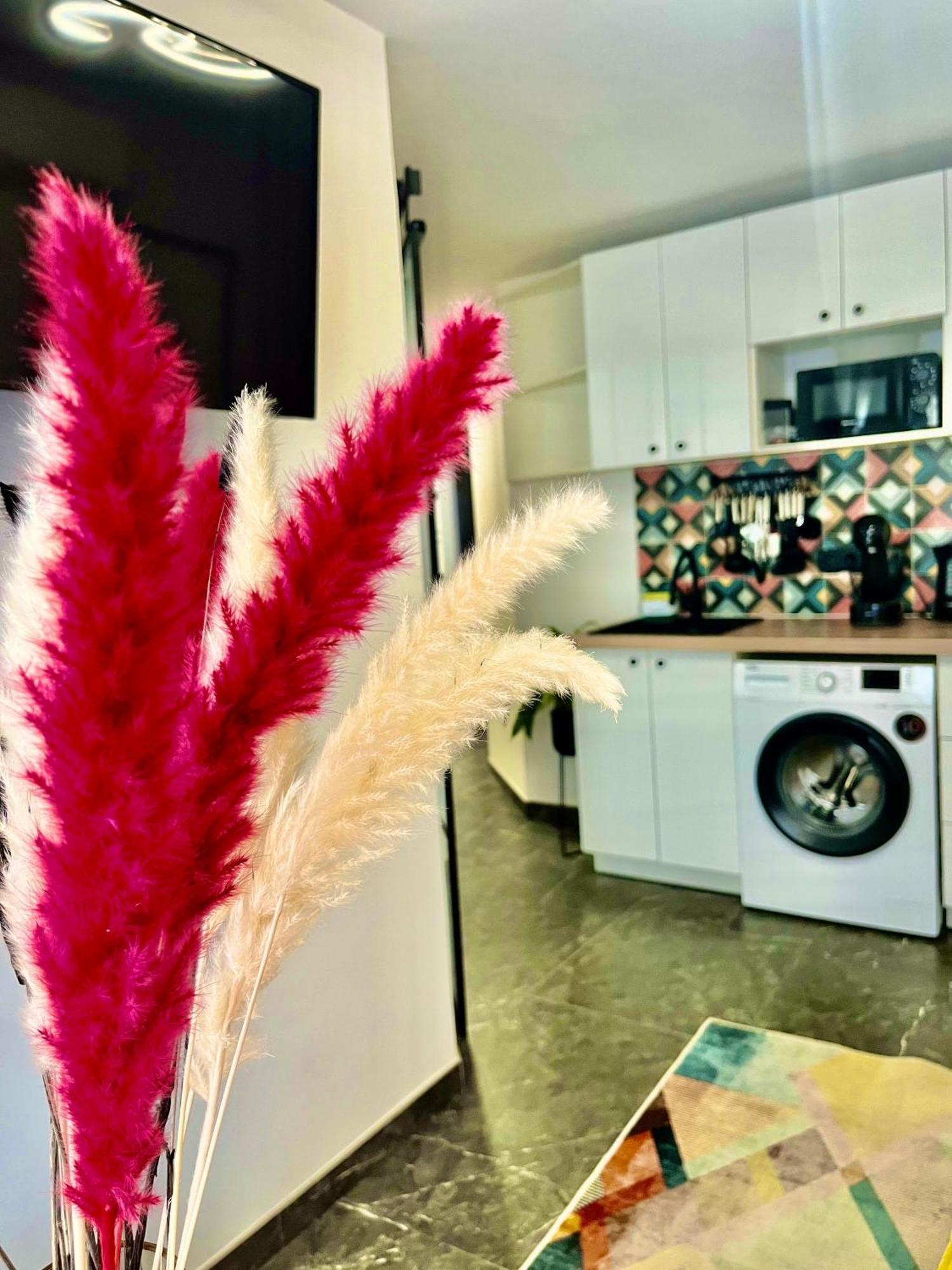 Arte Apartamento Dos Colores Alicante Bagian luar foto